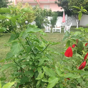  Otel Ayda
